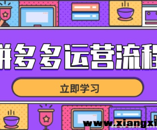 拼多多运营流程 从选品到流量 全链路运营技巧 助力店铺爆单
