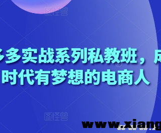 2025拼多多实战系列私教班 成就这个时代有梦想的电商人
