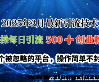 2025年3月最新引流技术 实操每日引流500+创业粉 一个被忽略的平台 操作简单不封号