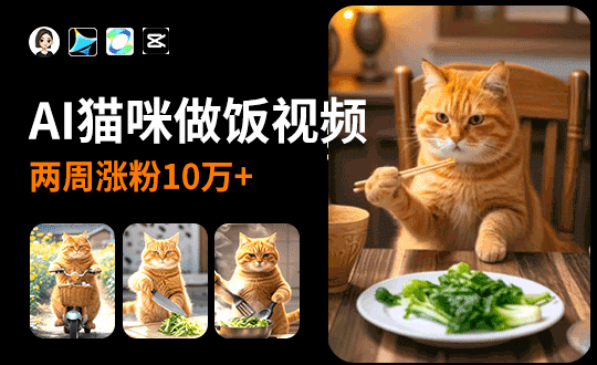 视频必看.gif
